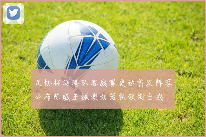 足协杯海港队客战赛更达首发阵容公布陈威王振澳刘若钒领衔出战