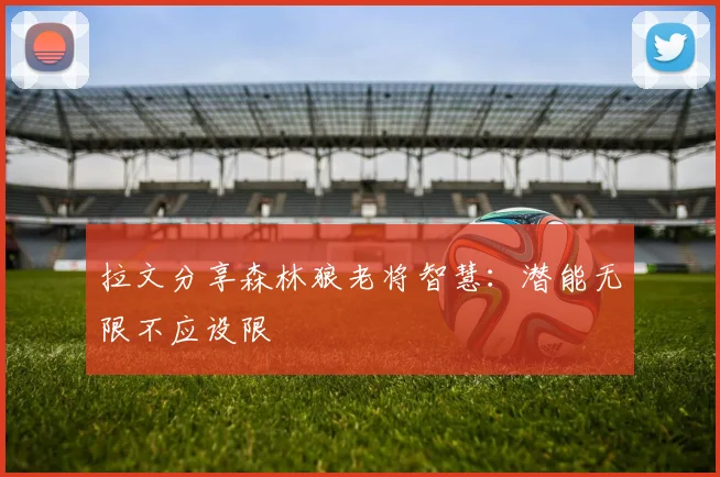 拉文分享森林狼老将智慧：潜能无限不应设限