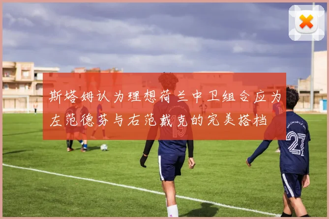 斯塔姆认为理想荷兰中卫组合应为左范德芬与右范戴克的完美搭档