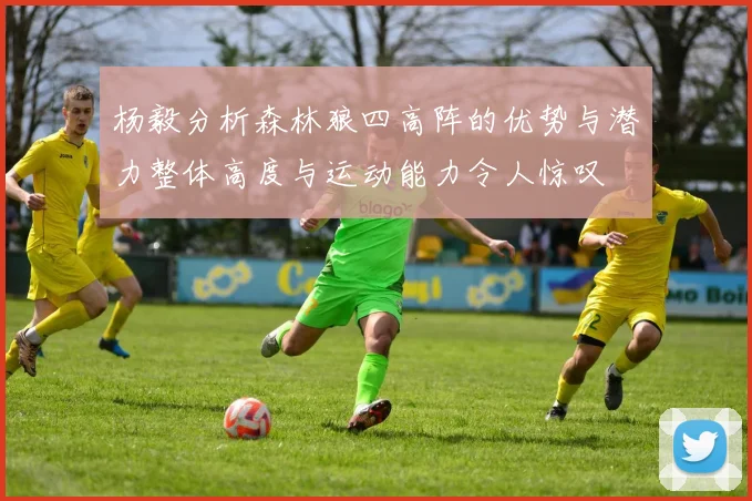 杨毅分析森林狼四高阵的优势与潜力整体高度与运动能力令人惊叹